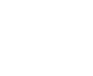 logo_corindus_ok